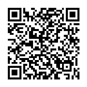 是这部片子跟侏罗纪公园的第二部它也不是一个重量级啊二维码生成