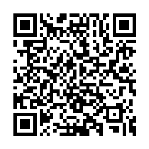 是追踪了过去百年上万名强者的修炼和升级数据二维码生成