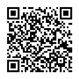 是那个什么俊才见到了隐匿修为的清妖先心生的歹意二维码生成