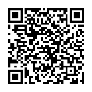 是那个天塌下来好像都不会变一下脸色白勺司徒师兄吗二维码生成