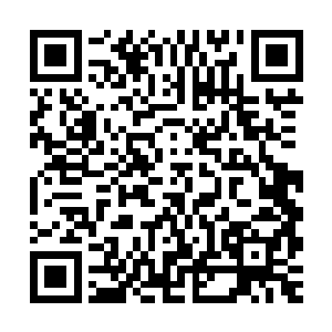 是那尊石狮子在不明所以的情况下吸收到了叶枫散发出去的虚气二维码生成
