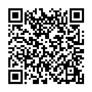 是那种可以进入常春藤大学校排球队并得到奖学金二维码生成