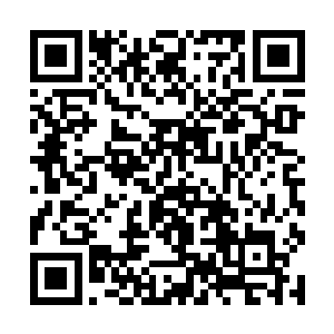 是阮老等几个人间凶器以及超越人间凶器级别的存在二维码生成