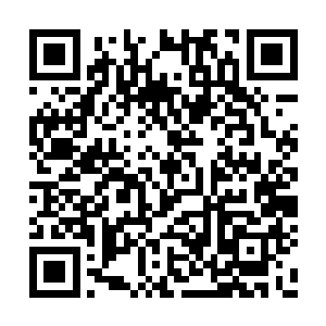 是需要用仙药天命金线草方才能炼制出来的仙丹二维码生成