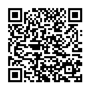 是需要等到他们进阶更高阶骑士的时候才会瓜熟蒂落二维码生成
