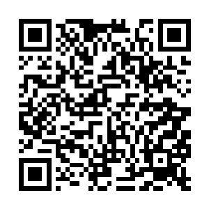 是麻生沙树特意给主人那个电话号码来电而设定的二维码生成