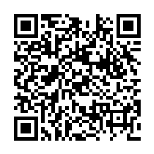 是黑甲军中第一批送到幽州烛龙领飞行学院训练的军官二维码生成