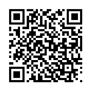 是龙崎大陆两大商会之一的飞天商会二维码生成