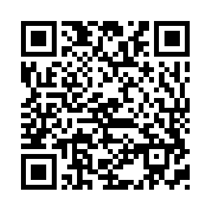 显得极为圆润的藕臂令人有种掐一把的冲动二维码生成