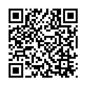 显德帝让人将两个小家伙带下去玩二维码生成