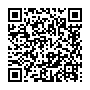 显是上过具有肉白骨之效的凝肤生肌或止血活肌散二维码生成