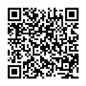 显然之前的时候龙傲天还是有些低估了菩提子的实力了二维码生成