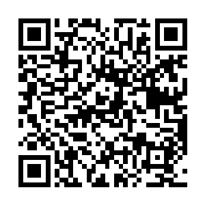 显然也想起自己当初掇撺自己老爹拒绝己子军招募之事二维码生成