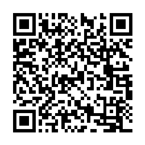 显然也是被杨戬的恐怖的成功率和品质给打击到了二维码生成