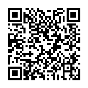 显然也是被龙傲天表现出来的恐怖的实力给镇住了二维码生成