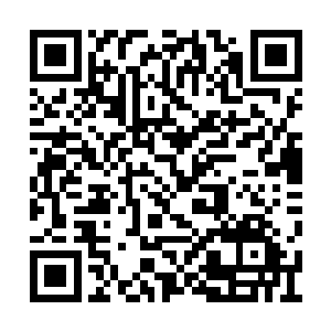 显然也没想到小辣椒会说出这样大胆的话语来的二维码生成