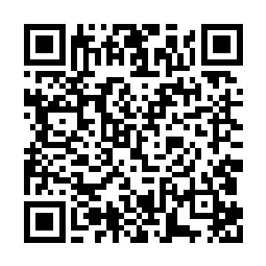 显然也没有见过几件能够跟着法宝相媲美的存在二维码生成