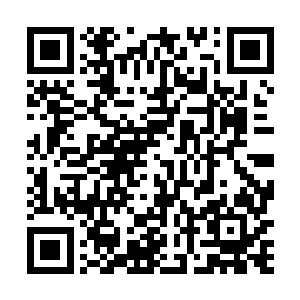 显然也知道大家在全是大理士兵的情况下不能安心呆着二维码生成