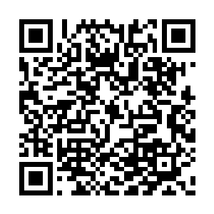 显然也能够从穆倩倩的目光之中感受到一些东西二维码生成