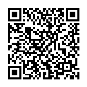 显然从这黑色的珠子上面龙傲天感受到了一股不小的威胁二维码生成