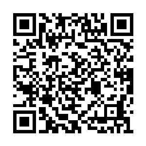 显然他也是因为刚才双方的对话才会这么客气的二维码生成