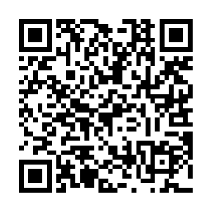 显然他也是第一次见到龙傲天身上的这恐怖的杀气巨龙二维码生成