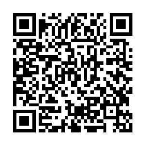 显然他们两个确实是替亚王尊挡住了很多的攻击二维码生成