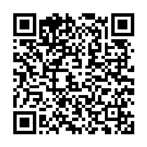 显然他们也十分的明白此时的龙傲天已经跟对方扛上了二维码生成