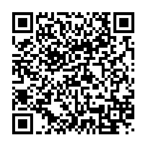 显然他们也已经意识到了自己这次遇到的垫背的根本就不是一群绵羊二维码生成