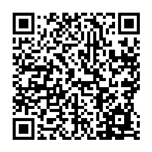 显然他们做梦都没想到龙傲天竟然一下子能弄来这么多的高手助阵二维码生成