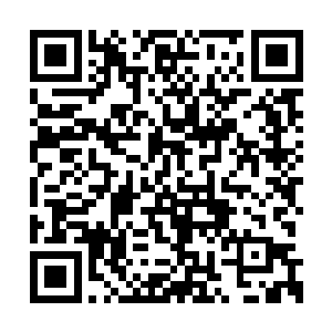 显然他们就是在让外面的人看不清楚这里的情况二维码生成