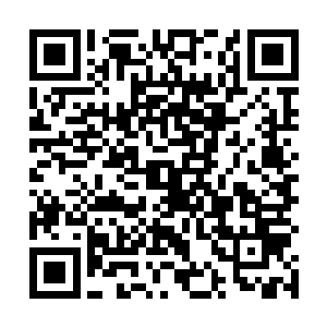 显然他们的情报之中并没有杨戬这个所谓的少爷的存在二维码生成