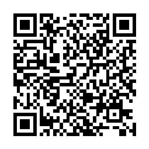 显然他做梦也没想到龙傲天的身上竟然也有如此强大的法宝二维码生成