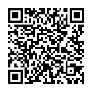 显然便是此时在道路上瑟瑟抖的那只喜乐蒂的主人二维码生成