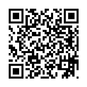 显然刚才电梯井的激战把他吓得不轻二维码生成