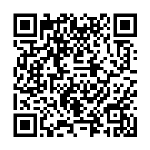 显然刚才的一战令杨戬也见识到了噬灵一族的强大二维码生成