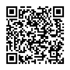 显然别孙子轩总是不按照常理出牌的问题给弄怕了二维码生成
