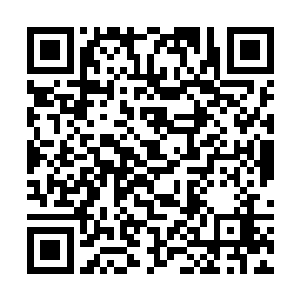 显然四海宫上次攻打青蛇殿和赤蛇殿时伤到了些元气二维码生成