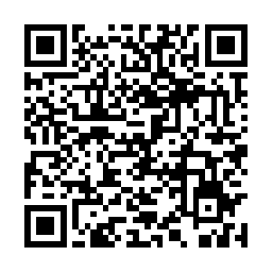 显然在整个四方城还没有多少人有资格走那条通道二维码生成