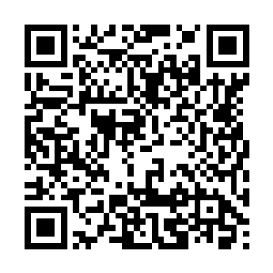 显然在魏大为局长看来那个夏老师虽然身份不简单二维码生成