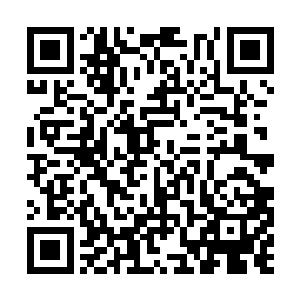 显然她后知后觉想起了那个笨南北成佛而去的噩梦二维码生成