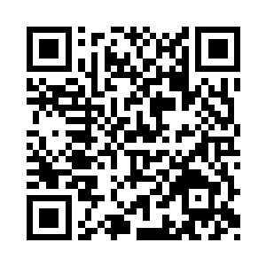显然它们并不如何畏惧这个突然出现的人类二维码生成