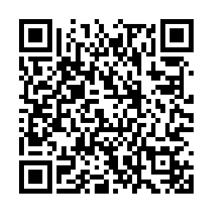 显然对丁羽把它给抓起来略显有那么一些不太满意二维码生成