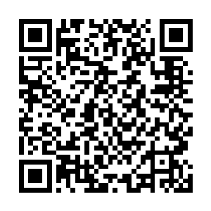 显然对于接下来杨家地位的改变他们也已经能够料想到了二维码生成