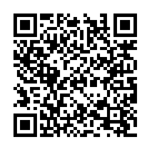 显然对于莫倩妮这个少有算得上朋友的人很是亲近二维码生成