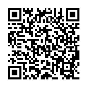 显然对于龙傲天两个人这种自投罗网的行为感觉十分的不屑二维码生成