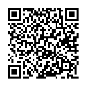 显然对他们二人的兴趣要比对烤鱼的兴趣来的大二维码生成