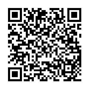 显然对伊娃这个小女孩能够获得新生感觉到振奋和激动二维码生成