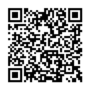 显然对雷林这么轻易就破解了迷雾结界有些诧异二维码生成