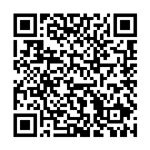 显然就是因为一如既往认真的又打扮修饰了一下自己二维码生成